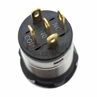 工图GK22mm金属不锈钢环形带灯按平钮启动停止SF22FM防水IP67CE认 - 图片 3
